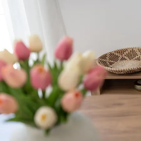 Apartment Coronata