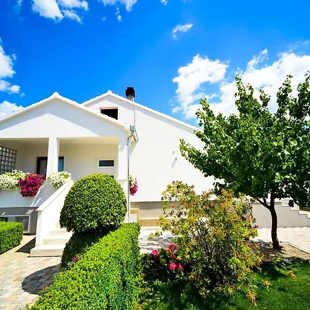 Coronata Apartament *