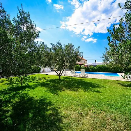 Coronata * Weißenburg